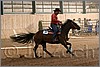 QH061_1072n.jpg(40,8 KB)