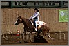 QH061_1086n.jpg(36,4 KB)