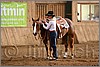 QH061_1089n.jpg(41,1 KB)
