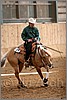QH061_1090n.jpg(36,8 KB)