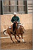QH061_1091n.jpg(36,2 KB)