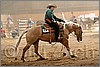 QH061_1098n.jpg(36,0 KB)