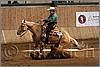 QH061_1105n.jpg(39,4 KB)