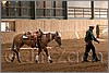 QH061_1110n.jpg(42,3 KB)