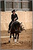 QH061_1113n.jpg(33,6 KB)