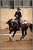 QH061_1116n.jpg(36,6 KB)