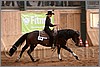 QH061_1120n.jpg(34,2 KB)