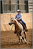QH061_1126n.jpg(36,8 KB)