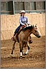 QH061_1130n.jpg(37,6 KB)