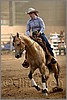 QH061_1136n.jpg(34,1 KB)