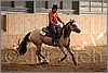 QH061_1144n.jpg(35,8 KB)