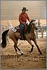 QH061_1145n.jpg(32,8 KB)