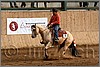 QH061_1146n.jpg(43,0 KB)