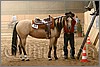 QH061_1149n.jpg(38,9 KB)