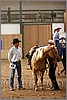 QH061_1154n.jpg(41,3 KB)