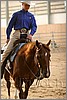 QH061_1157n.jpg(35,9 KB)