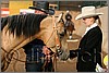 QH061_1160n.jpg(35,7 KB)