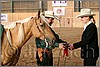 QH061_1165n.jpg(35,1 KB)