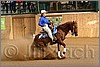 QH061_1176n.jpg(37,0 KB)
