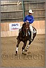 QH061_1181n.jpg(33,6 KB)