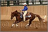 QH061_1184n.jpg(36,5 KB)