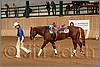 QH061_1188n.jpg(40,6 KB)