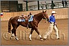 QH061_1189n.jpg(40,1 KB)