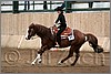 QH061_1210n.jpg(34,7 KB)