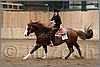QH061_1211n.jpg(32,6 KB)