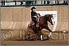 QH061_1214n.jpg(36,3 KB)