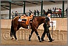 QH061_1249n.jpg(40,6 KB)
