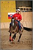 QH061_1259n.jpg(33,9 KB)