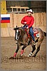 QH061_1264n.jpg(34,7 KB)