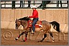 QH061_1270n.jpg(37,7 KB)