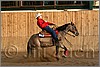 QH061_1275n.jpg(39,2 KB)
