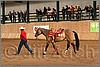 QH061_1276n.jpg(43,3 KB)