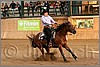QH061_1277n.jpg(41,0 KB)
