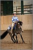 QH061_1295n.jpg(33,1 KB)