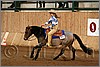 QH061_1305n.jpg(38,3 KB)