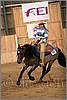 QH061_1307n.jpg(34,9 KB)