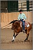 QH061_1319n.jpg(32,2 KB)