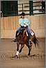 QH061_1321n.jpg(31,7 KB)