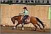 QH061_1326n.jpg(38,2 KB)