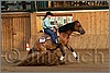 QH061_1331n.jpg(37,7 KB)