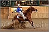 QH061_1333n.jpg(36,7 KB)
