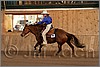 QH061_1341n.jpg(33,9 KB)