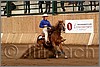 QH061_1346n.jpg(39,8 KB)