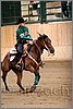 QH061_1353n.jpg(34,1 KB)
