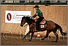 QH061_1355n.jpg(36,2 KB)