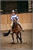 QH061_1361n.jpg(32,2 KB)